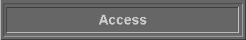  Access 