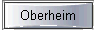  Oberheim 