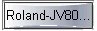 Roland-JV80... 