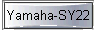  Yamaha-SY22 