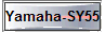  Yamaha-SY55 